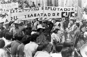 photo_2016-05-01_15-38-53