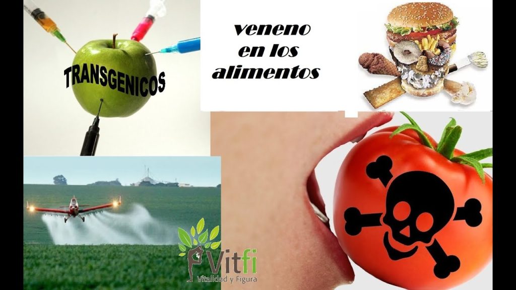 maxresdefault-1323577344