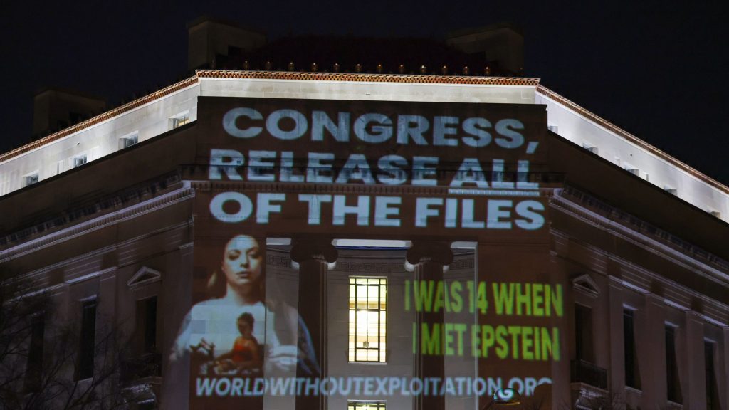 87333697007-epstein-proj-721254867