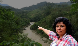 Nota-de-coyuntura-196