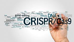 cirps