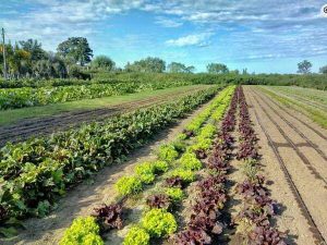 mapa_agroecologico_cordoba