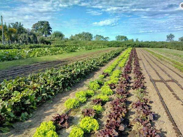 mapa_agroecologico_cordoba